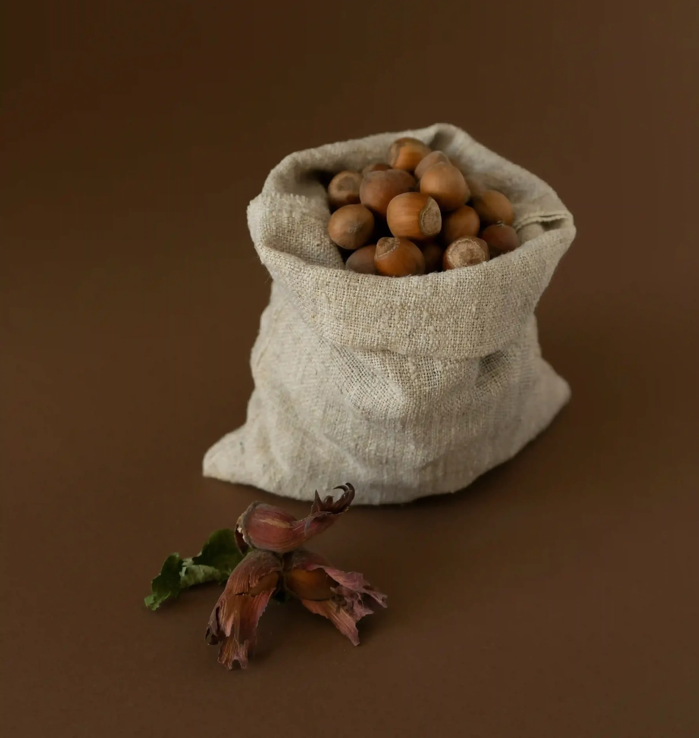 Home oco food premium hazelnuts export